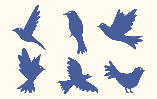 Set of Hand Drawn Bird Silhouettes. ​Minimalist and Abstract Bird Graphic. ​Simple Vector Illustration of Birds in Motion. ​Nature, Freedom, and Flying Animal Icons