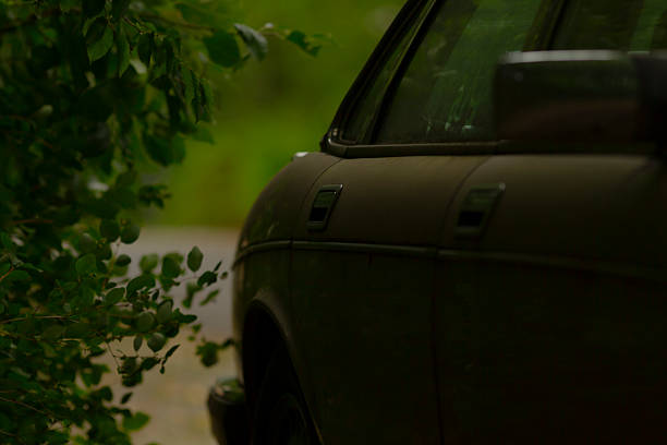 An intriguing close-up of a car partially obscured by lush green foliage, set in a tranquil forest environment, highlighting nature's beauty and vehicle design.