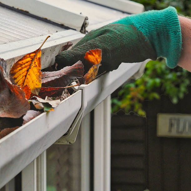 istock Hand with glove removing autumn leaves from gutter 2234163241