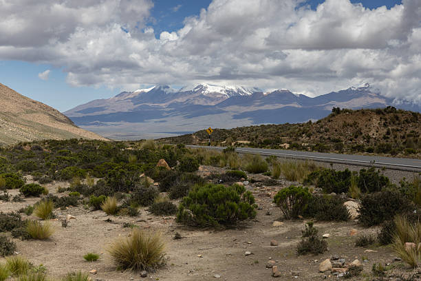 On the way across the Altiplano, Peru