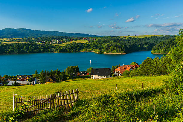 istock Wildflowers and lake panorama 2234170590