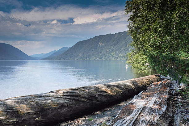 istock Lake Crescent, WA Olympic National Park 2234170706