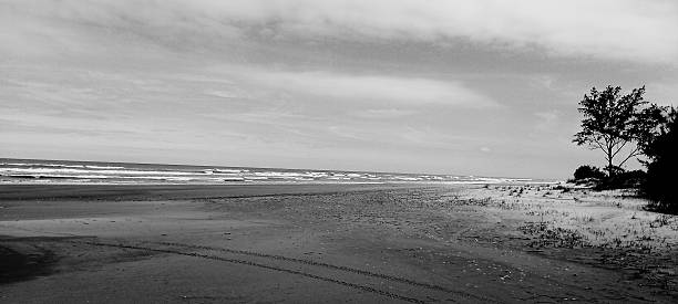 istock black and white beach photography 2234170872