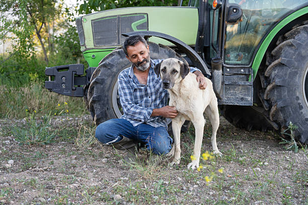 A smiling farmer in a plaid shirt and boots kneels beside his loyal dog in a rural field, gently petting it with affection.