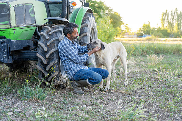 A smiling farmer in a plaid shirt and boots kneels beside his loyal dog in a rural field, gently petting it with affection.