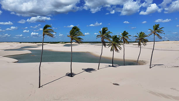 istock Small Sheets At Tutoia In Maranhao Brazil Northeastern. 2234178721