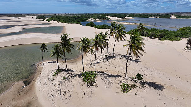 istock Small Sheets At Tutoia In Maranhao Brazil Northeastern. 2234179883