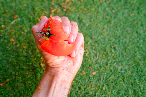 Hand squeezing a ripe red tomato, causing juices and seeds to burst forth and splatter messily onto the vibrant green grass below, creating a chaotic yet playful scene