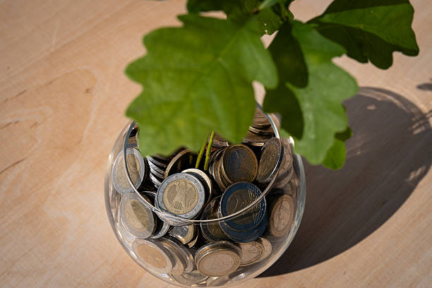 Plant growing from money. Oak tree growing from money.