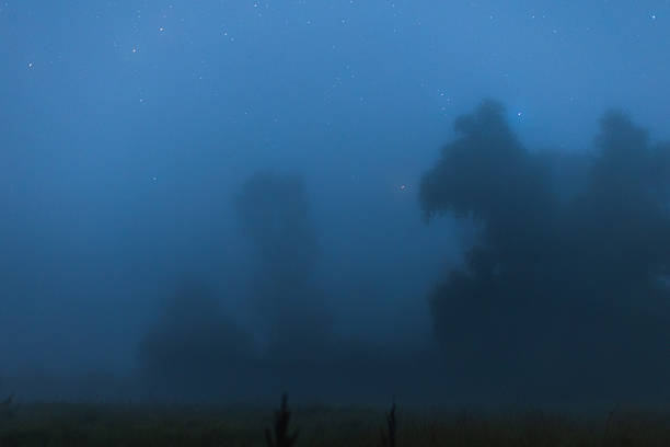 Dark foggy night landscape