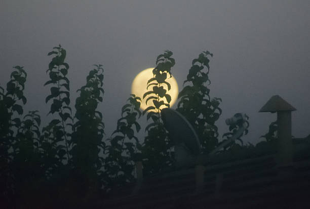 A snapshot of the Full Moon, known as the Corn Moon during the month of September, as it brightly shines behind a tree and the roof of a neighbor's house.