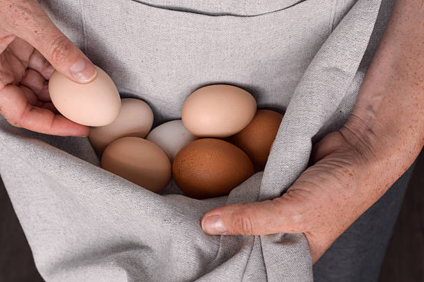 istock Woman holding apron filled with freshly collected chicken eggs 2234213835