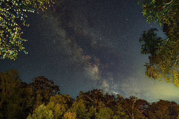 The Milky Way stretches across the night sky above forest trees at Sutton Lake, captured in a stunning astrophotography view.