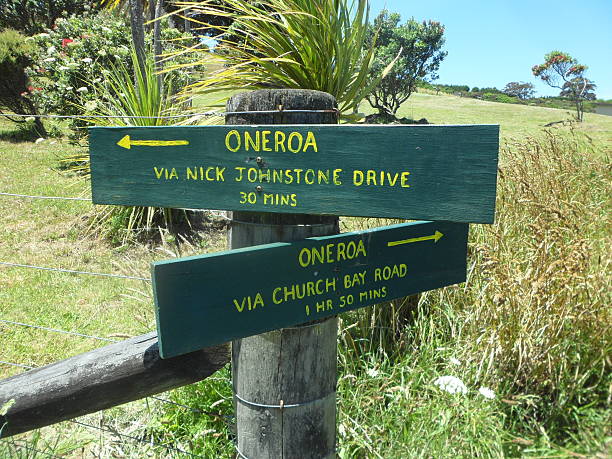 istock Waiheke Island in Summer 2234226583