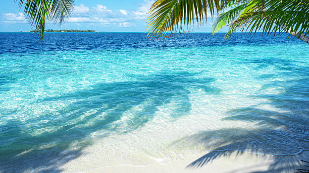 istock Tropical paradise beach scene for background or wallpaper 2234231783