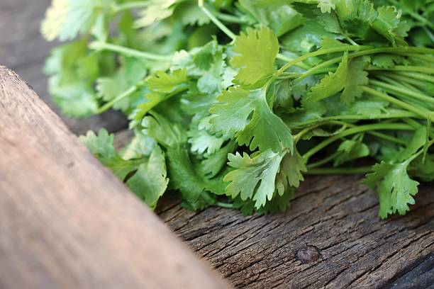 istock Coriander herb on wood background 2234233697