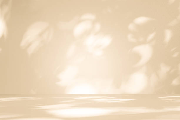 istock Studio style background wall decoration presentation uses white and beige tones. with shadows cast from a nearby window, concept creating a decorative 2234234300