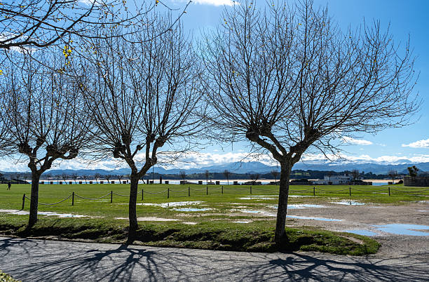 Santander, Spain, March 25, 2024: Bare trees and shadows in Santander park with grass field, puddles and distant mountain view, editorial image