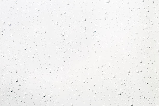 istock Water drops on white background, Closeup water drops on white background 2234243339