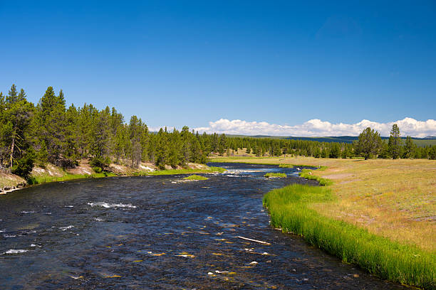 istock Scenic Yellowstone River Flowing Through Valley in National Park 2234244906