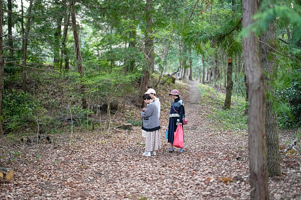 istock Three people are walking in a forest 2234245058
