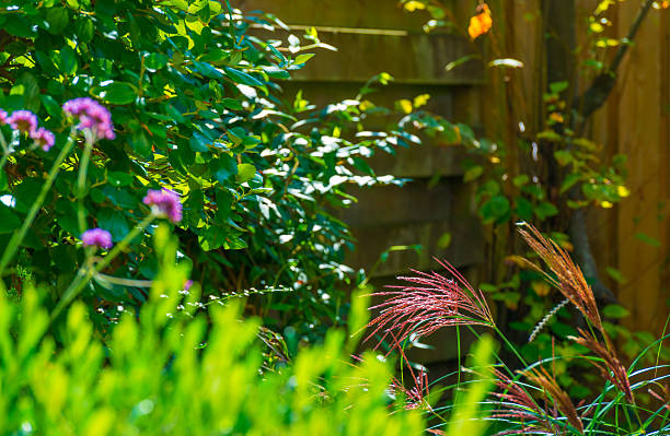 istock Colorful garden in bright sunlight in summer 2234248270