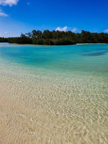 istock Shallow Turquoise Lagoon and White Sand 2234249404