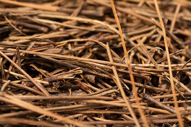 CGI abstract background showing a dense, cloud-like cluster of thin golden rods suspended against a soft blue gradient. The composition emphasizes depth, subtle motion and negative space — a minimalist, modern texture usable as a backdrop, pattern or visual accent in digital and editorial work.