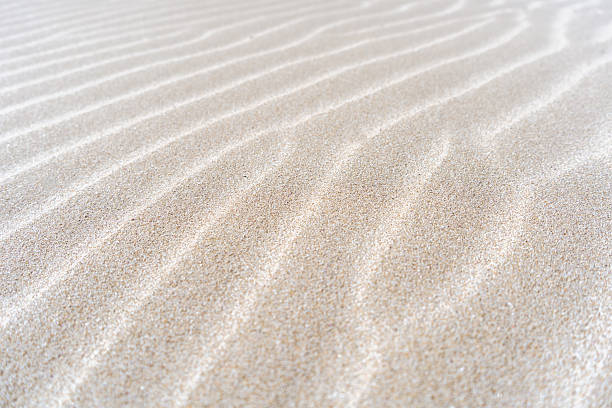 istock Close-up detail of natural patterns on sand dune surface 2234256636
