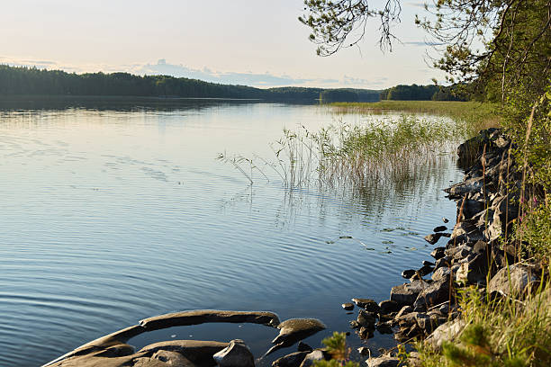 A beautifully tranquil river scene depicting gentle ripples along with vibrant greenery lining the shore