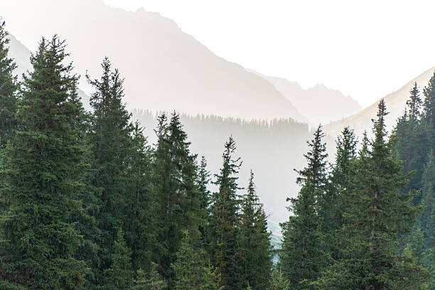 istock Sunrise over the mountains in Kyrgyzstan 2234257844