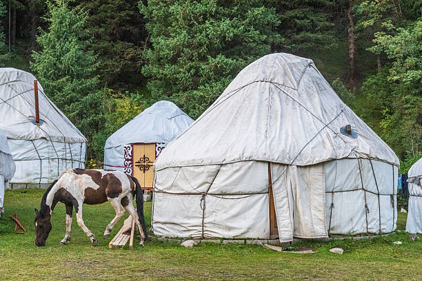 istock At the ecotrek Yurt Camp 2234257851