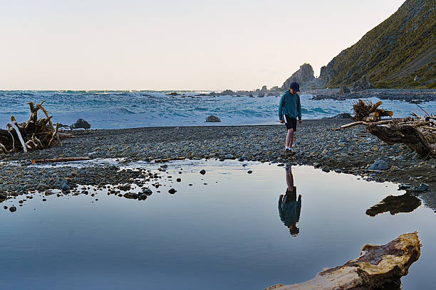 Explore a rugged beach with freshwater ponds and lush rainforest in New Zealand's South Island. Experience the wild beauty of nature's contrasts.
