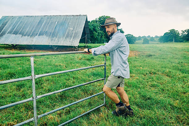 istock Australian farmer leaning on metal gate in green field 2234262143