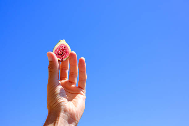 Hand holding a half of a ripe fig against a clear blue sky, highlighting the fruit's vibrant colors and rich texture, evoking the essence of summer and healthy living