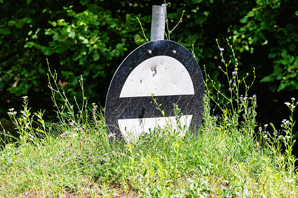An old, weathered 'No Entry' railway traffic sign stands amongst wildflowers and grass, showing signs of damage and neglect