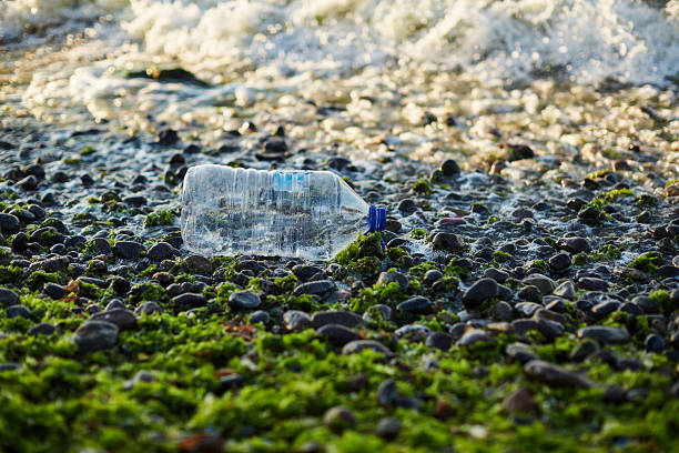 Plastic pollution. Garbage dumping in the nature. Plastic water bottle thrown in the seashore