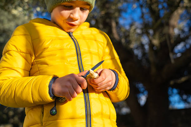 istock Young explorer sharpening a stick with pocket knife in the woods 2234266242