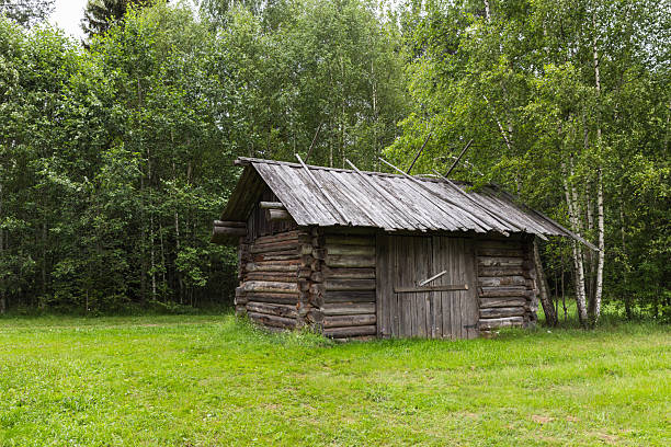 A small, weathered wooden cabin surrounded by dense trees in a lush green landscape. Reflects rustic charm and serves as a historical relic or nature retreat. Vasilevo, Russia