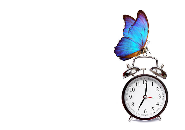 istock alarm clock and beautiful butterfly morpho isolated on white background 2234269104