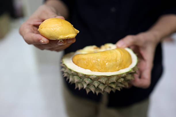 istock Fresh Durian Fruit with Rich Yellow Flesh 2234270027