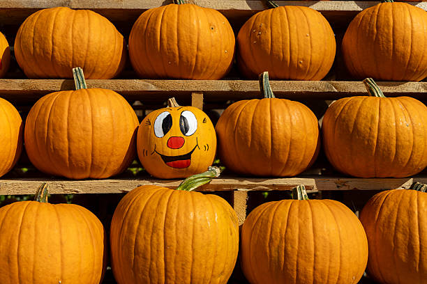 Vibrant orange pumpkins arranged in a rustic display, featuring a playful painted pumpkin, perfect for Halloween-themed backgrounds and decorations. free space