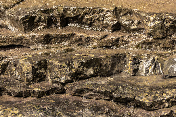 textured rock surface with natural patterns in earthy colors. rocky texture background. close-up view of rugged rocky surface. abstract nature background. geological formations in nature