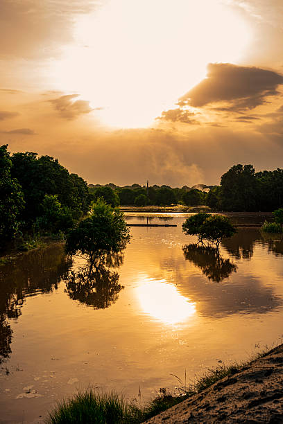 istock Agricultural Orchards Underwater After Heavy Monsoon 2234274622