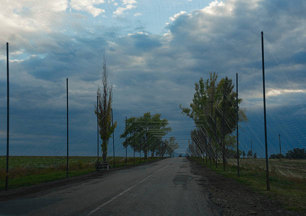 Rural road in the Donbas region, protected by anti-drone netting against FPV drones. The landscape, under a dramatic sky. Tense atmosphere near the front line in eastern Ukraine.