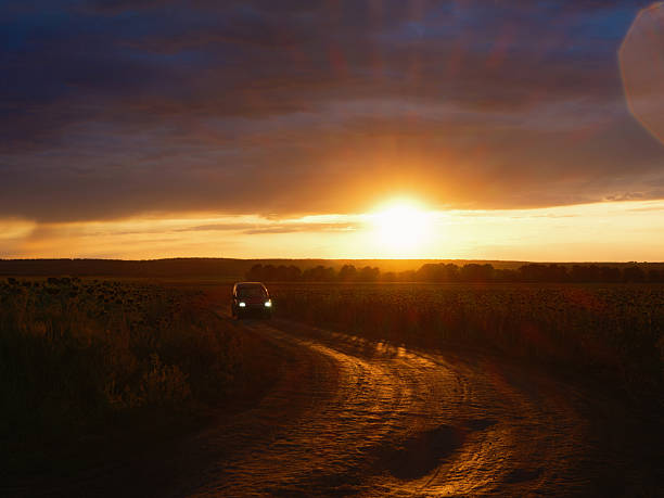 Car with glowing headlights drives along a dusty field road, surrounded by sunflower fields during a beautiful sunset. The last sun rays illuminate path.
