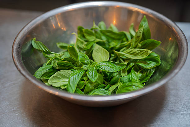 A stainless steel bowl filled with fresh green basil leaves, placed on a kitchen counter indoors.
