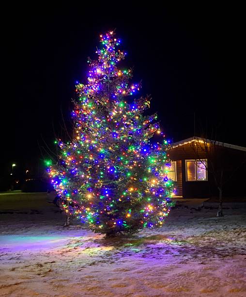 istock Christmas tree in Iceland outside 2234279035