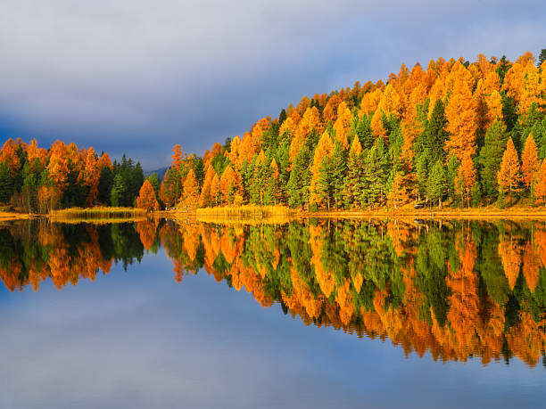 istock Nature. Lake and autumn forest. Symmetrical composition. Cloudy sky. Reflections on the water surface. Incredible view of the nature. Photo for background, wallpaper, postcards. 2234279352