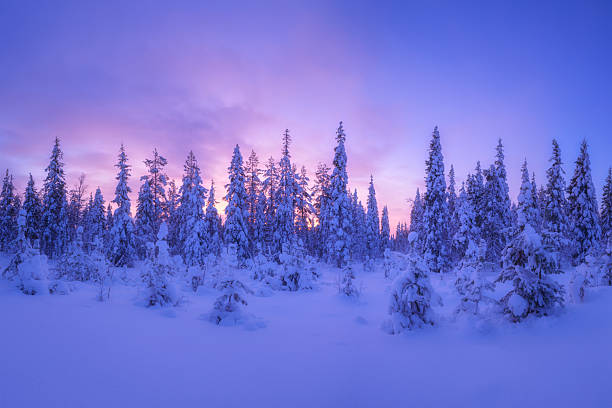 istock Winter landscape during sunset. Trees covered with snow. Sun glow through the trees. Lapland, Finland. Winter wonderland. Scandinavian countries. Background, wallpaper, postcards 2234279365